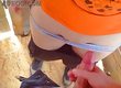 Девственники пробуют себя в интиме впервые